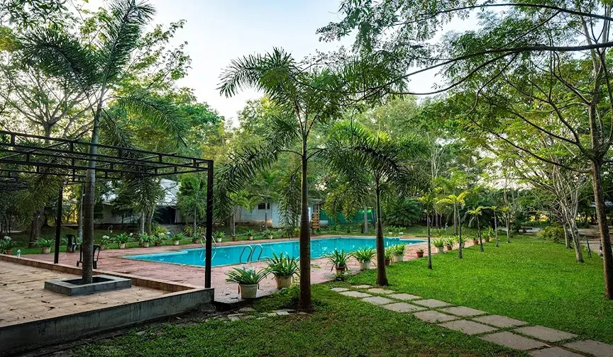 Dandeli Premium Jungle Resort Stay